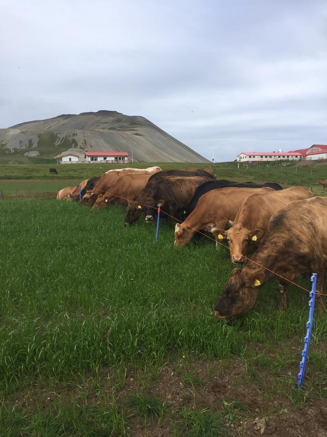 Eiði Farmhouse Grundarfjörður Exterior foto